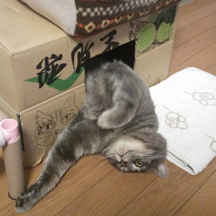 B35e156f b1be 449a a4f2 a7e8c4daa5bc 1550361854580