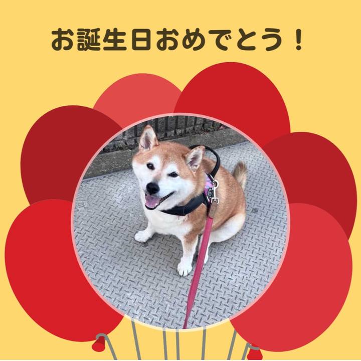 B35e34c6 2d30 4cb6 8a6e b0b0fd670212 1699662519431