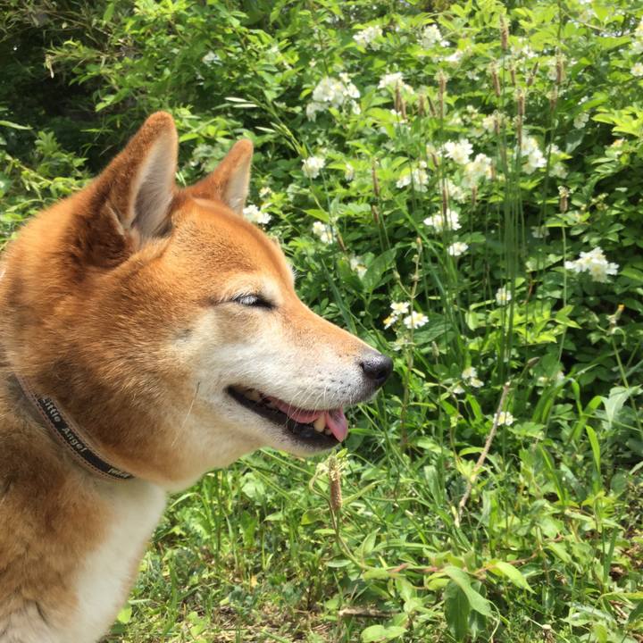 B35e5508 0e94 4178 8fa8 09ef430b6e4e 1557546724682