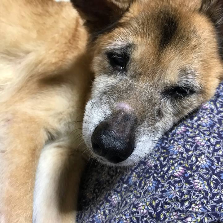 B35e5683 31b2 4fc4 b2f8 b4dd240859db 1568036113720