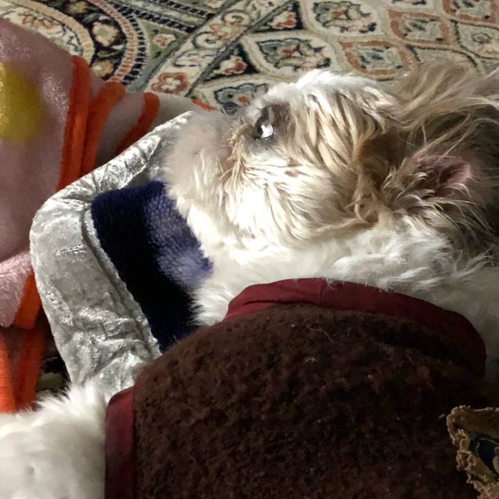 B35ec374 106f 4600 b292 35a8829c085b 1548885438557