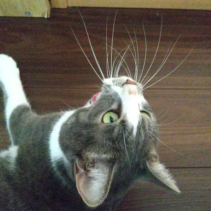 B35ed819 7628 41a2 acad de5ef437f5a3 1630116904124