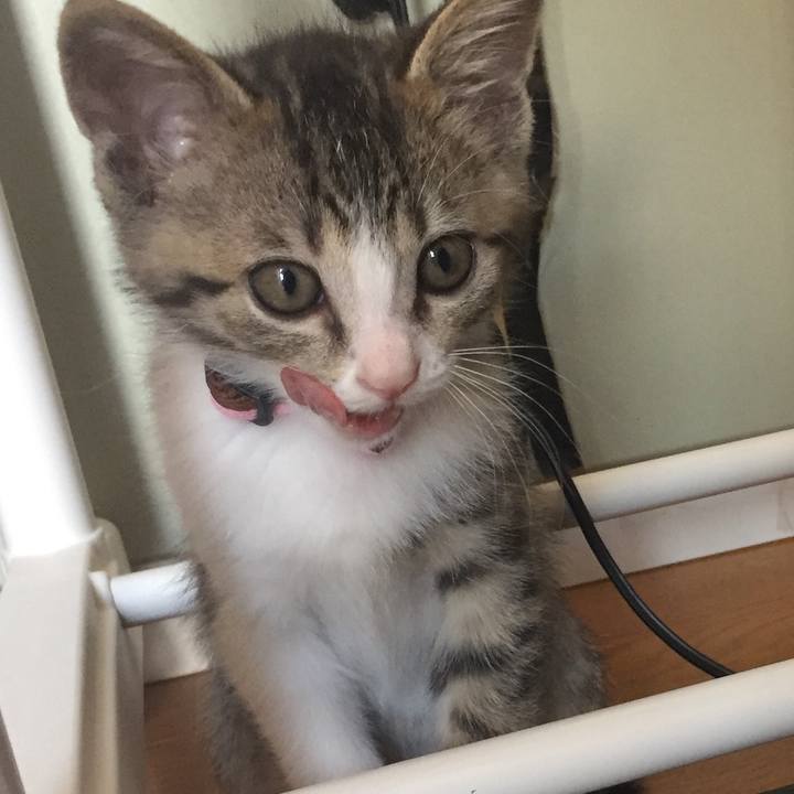 B35eda57 230e 4aa1 9937 c87723c0ec01 1653968831867