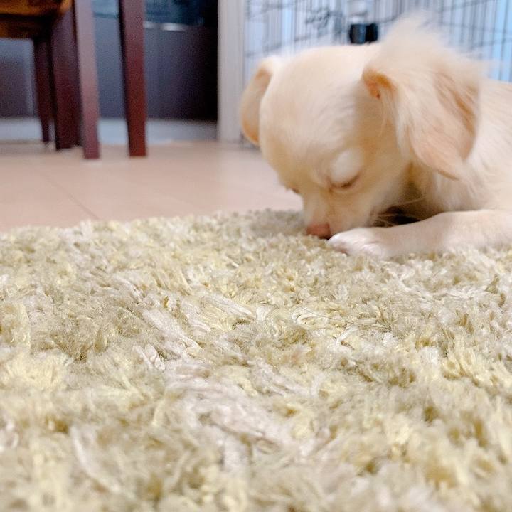 B35ee726 ee16 40ba 97e1 bd1c3ee9ec8f 1596445525660