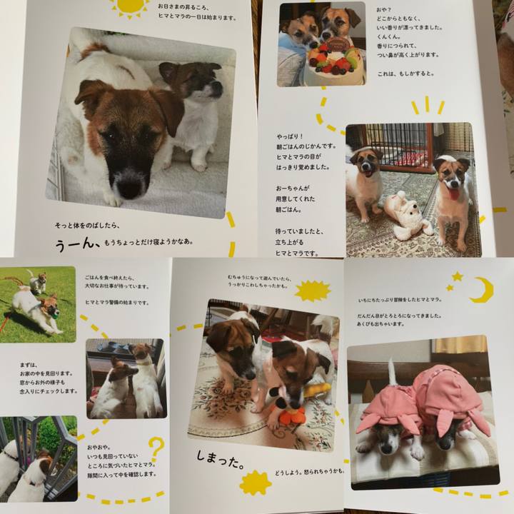 B35ef8ae 96dc 46af 9e5b 07474dc95467 1625286186124