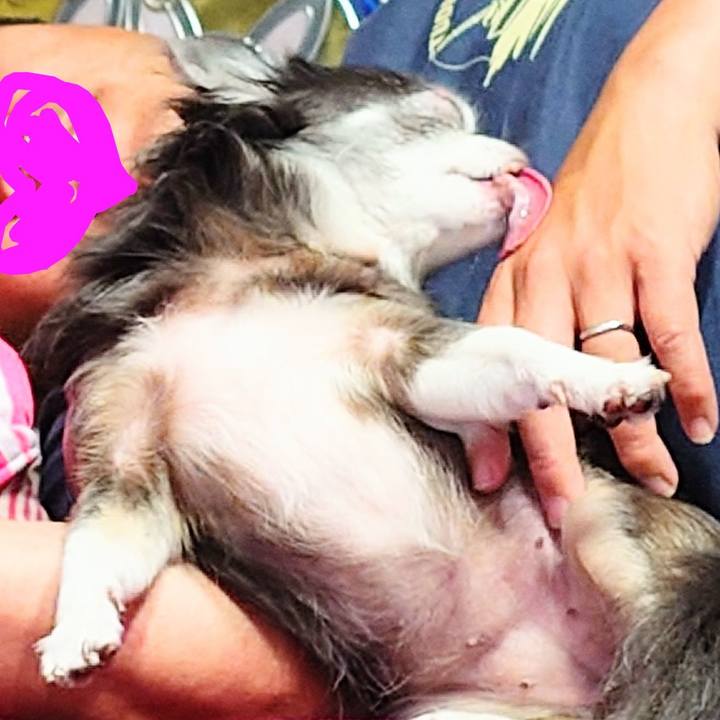 B35effe1 dab1 47dd 8201 0387f63acb79 1759674204753