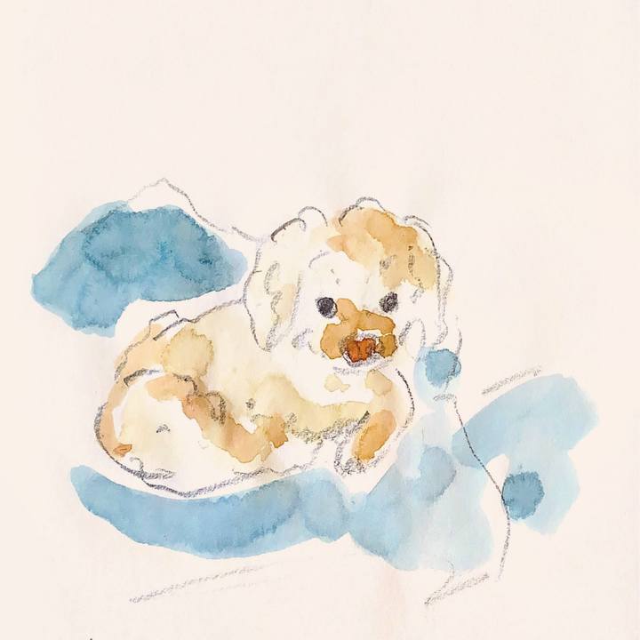 B35f138a 8c20 4426 a2c8 90802eb51ea9 1619435865853