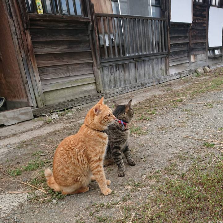 B35f2ca0 fd32 4057 afd0 e5638a4eecbc 1657355896138