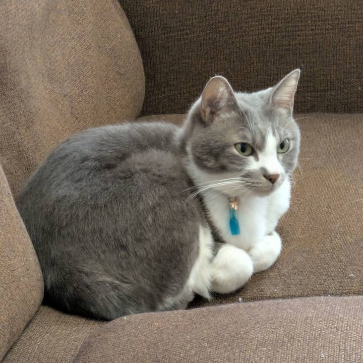 B35f2ef6 250e 4669 8642 645ecf6667ba 1732154820859