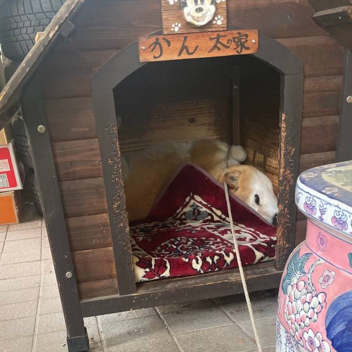 B35f6407 6814 411c 9331 0623e1288d89 1655344531786