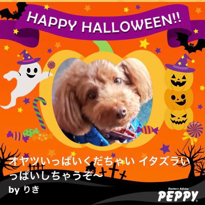 B35fa21d fe5e 409c 8ce9 ce1445b227c2 1570592966857