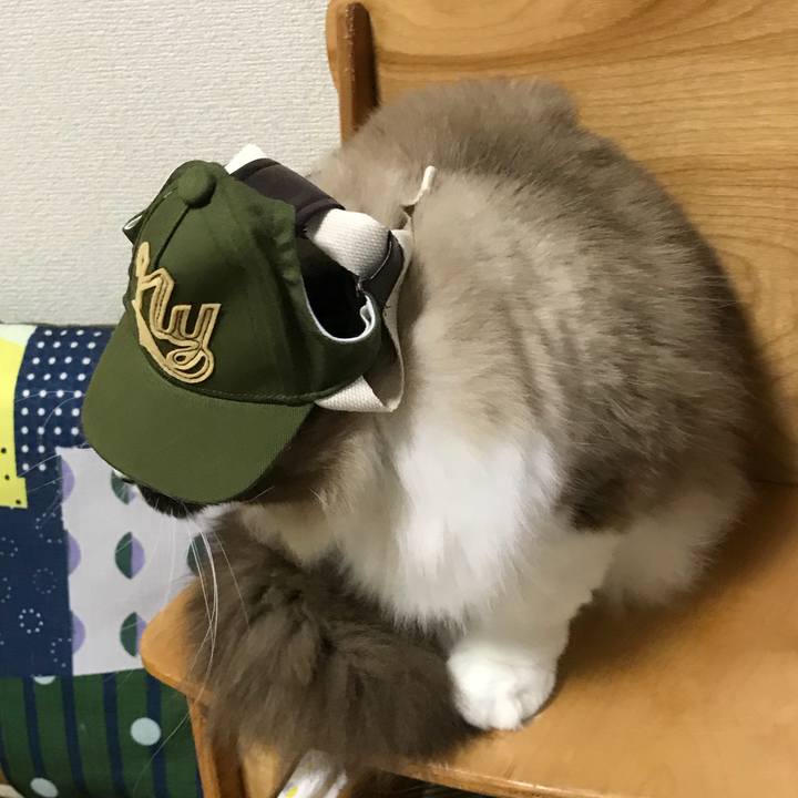 B35fa958 04ee 4e44 9333 e78a63c9075f 1521115128467