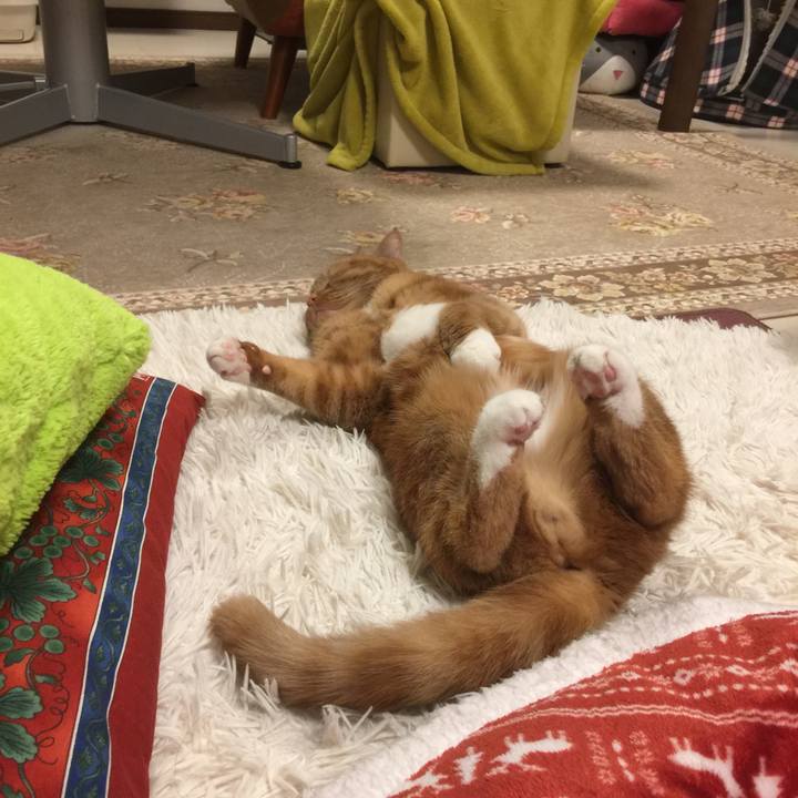 B35fcb5e 71a7 4ac7 bab6 a4914f970cdf 1553434238276