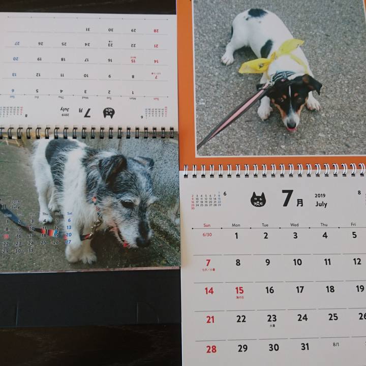 B35fe724 fa81 44da 8551 66a809e38bf8 1561947324519