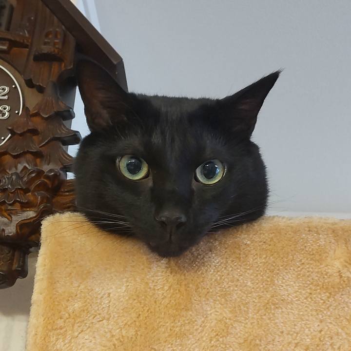 B36025d5 6fea 43e5 9234 f71d7bdeed66 1661653838329