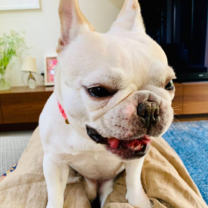 B360533c 446d 4dce 89fc 0682bf1c1292 1591597597419