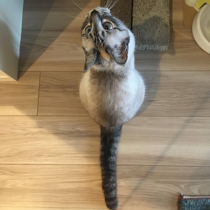 B3605b13 6eb9 4c01 a87b 5c43a1049c71 1590025335816