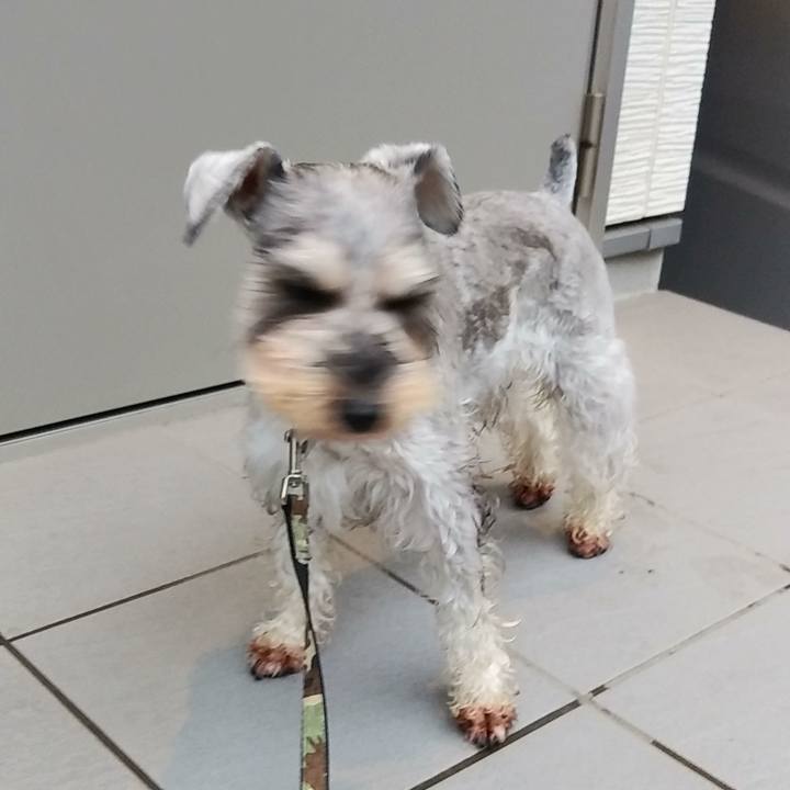 B3608696 90ea 462a 8e3a d2bedf1b60fa 1541717973875