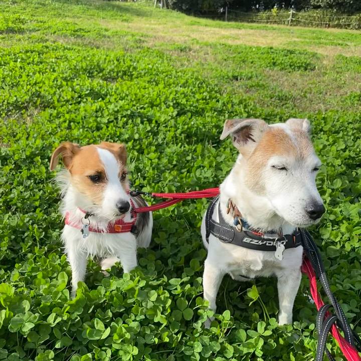 B3608eda faa7 41ae a68a 9dea9e44accf 1637462454812