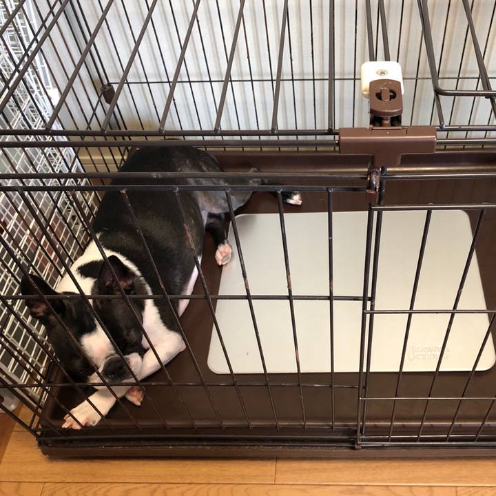 B360bc7d 982d 4bb6 bfa9 2bbfac2652de 1564909326461