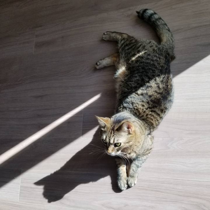 B360c5f3 29af 43d1 86ae 15d0937e9e3c 1612571456625