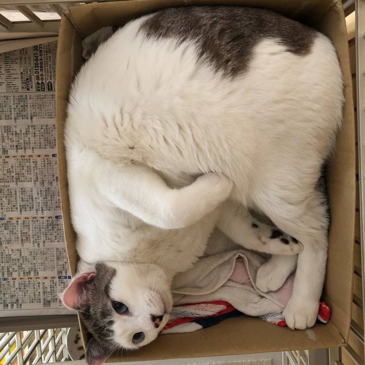 B360c898 2d04 4ede add5 95c0cf415cfa 1577237257778