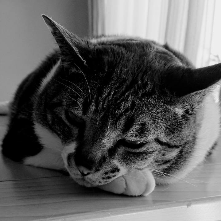 B360d3c5 6181 4413 abe4 90446f33a2a0 1524877300039