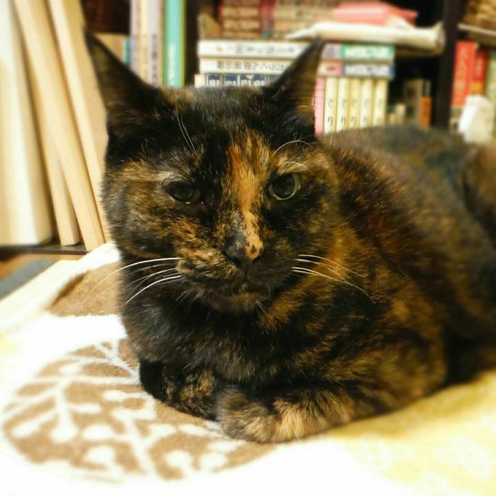 B3610c80 0823 49c3 b939 4b3d1a231b67 1540276545543