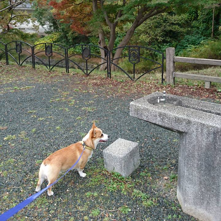 B36141c4 fa2c 495a 98a0 2f9226f00f51 1574591404743