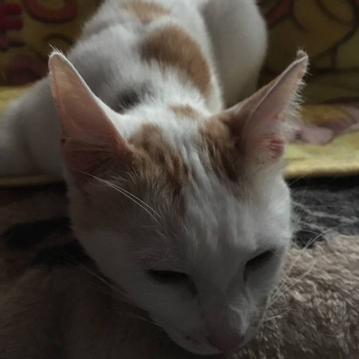 B36155de 423c 417e 8ed5 6bb04f22ce69 1530996312545