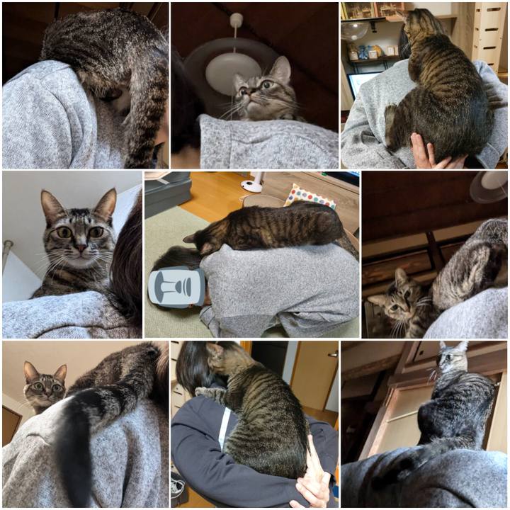 B3615d72 c46b 4e54 bc34 8256c93fa97a 1733817157103