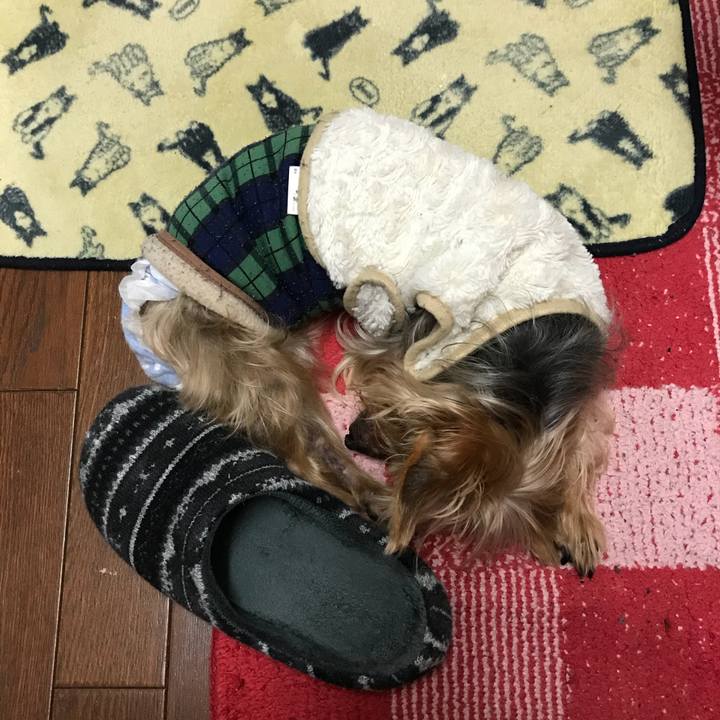 B3617880 f3c0 4acc ab1c ecbc00172863 1520676851485