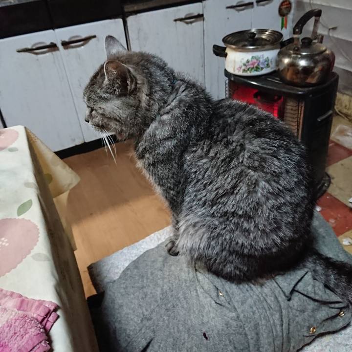 B361898a f4e0 4d08 85db 9918e557fde6 1576752792517