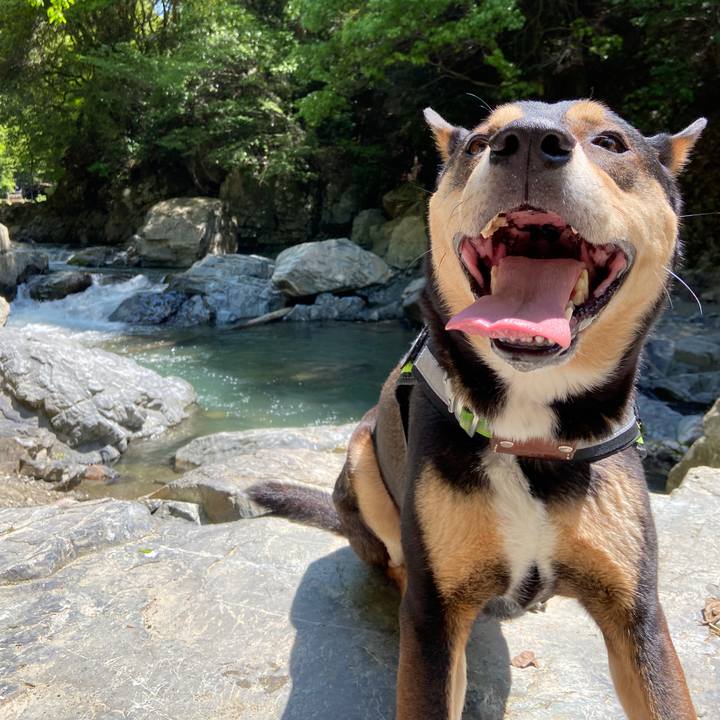 B3619266 db5b 4725 9019 be593c2ad1c3 1651664622474