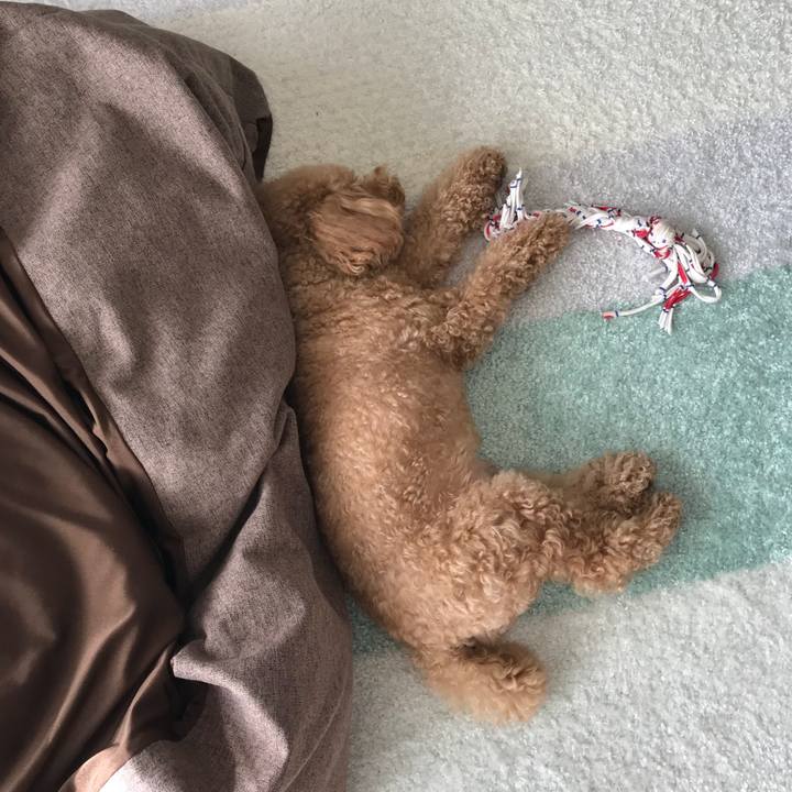 B361dfb7 3cbb 428c a496 6a595b7e0596 1513493279322