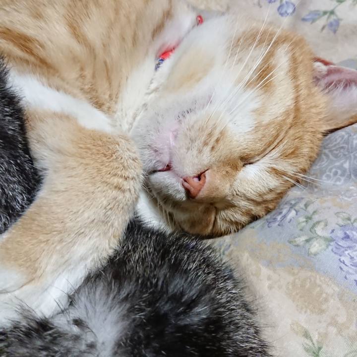 B3624428 1ebd 4b29 9724 eff2f197c5ed 1579784082425