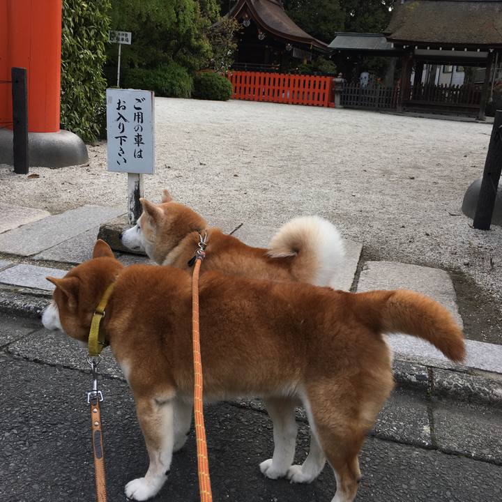 B362445e 94f7 45b5 b80d 9812ab6d353e 1523277466065