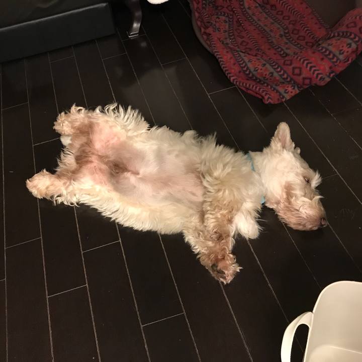 B3625a71 e773 4391 92c2 f041a6c959af 1538493288512