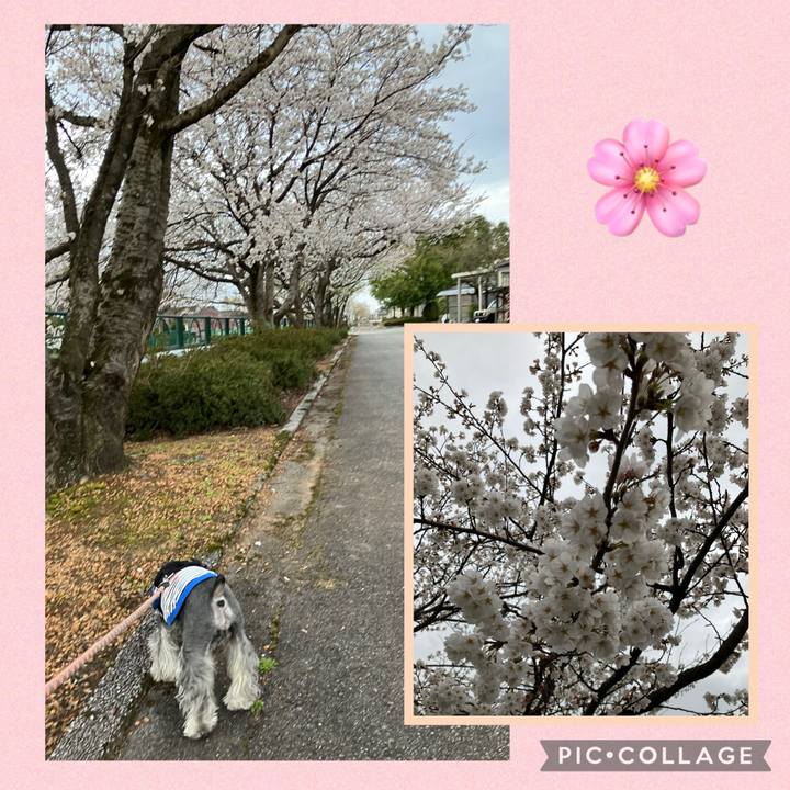 B3628495 1477 415a b28b ae30c86599fb 1744084728039