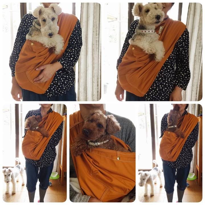 B3628efd 29ff 470a b70b 17667c29b016 1540004555506