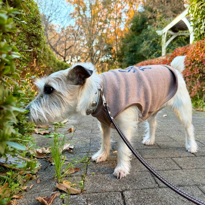 B362961c 4e1e 42ec 9683 f307fa0720fb 1764395651688