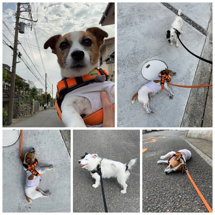 B362b951 ceaa 4d50 a5e1 086df4e7705f 1569804349913