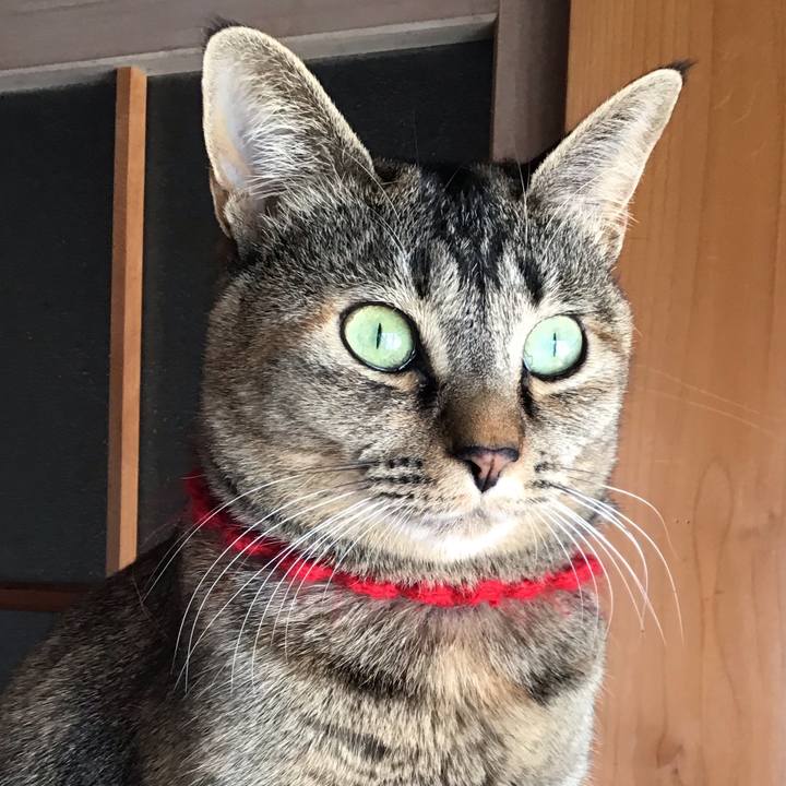 B362f528 d399 414e 9e89 c35e74fc651e 1613607203120