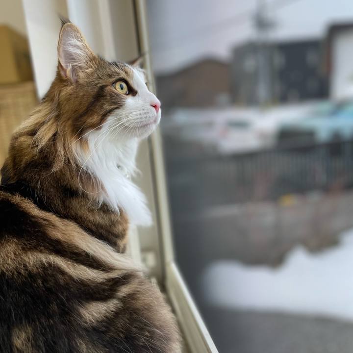 B363017f 9f96 4505 a78b 20a239bed786 1647119839086