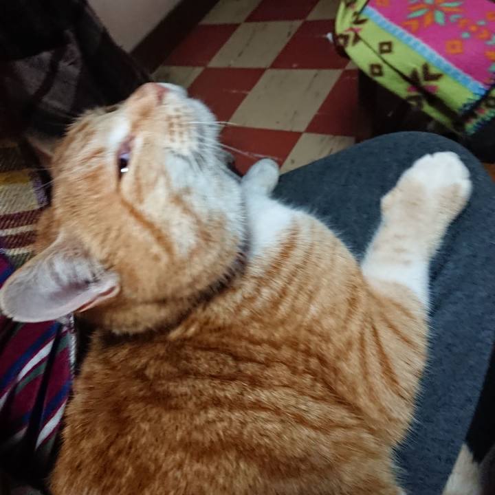 B3634151 cacf 4e9d bad1 b71a0554ad09 1579417616120