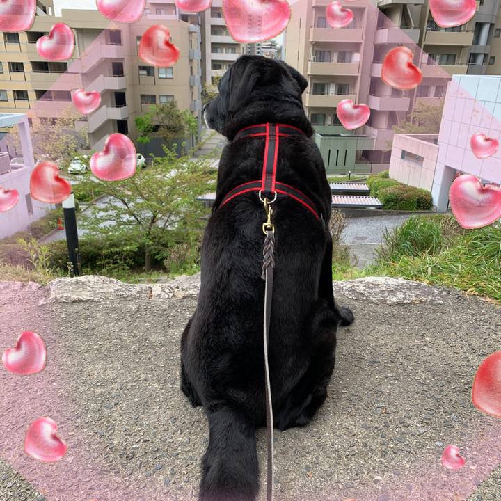 B363547a b471 4eca 90fc a4a9aea2bc4e 1587598766227