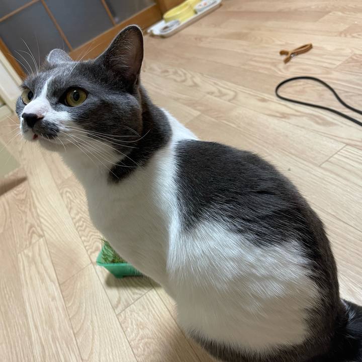 B36366df 436a 4c2a 8037 6a1d36fcc3a5 1627371254637