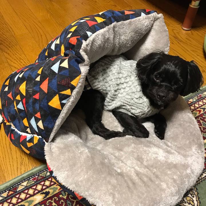 B36397d5 1e8b 497b 9e32 5853088c1edf 1543309344771