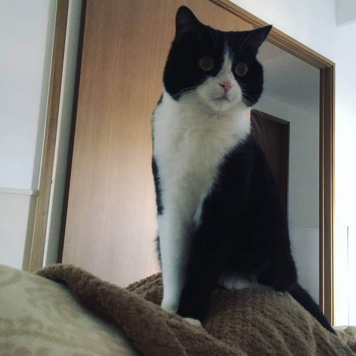 B363b9fe 3af0 4a7f aa62 9eae38838d48 1618700990378