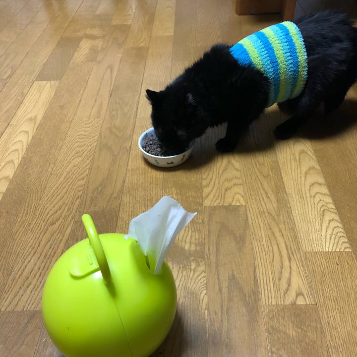 B363baf5 5926 4374 8c8e 3728a6f9c756 1582892771073